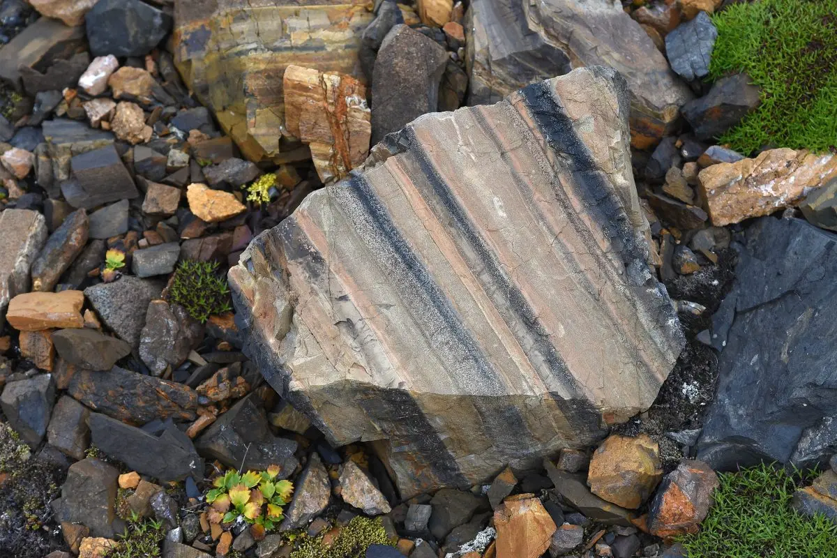Rock in Denali National Park