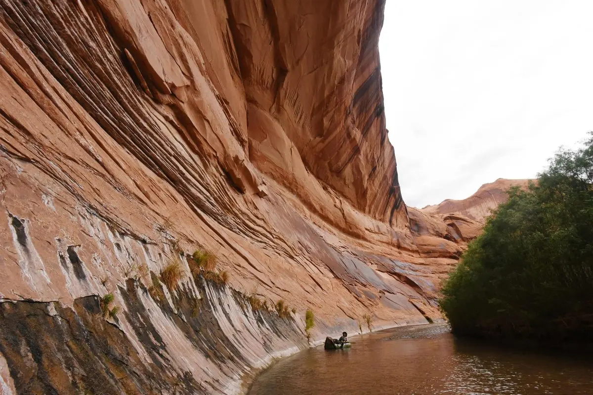 Drew paddles under an overhanging cliff on the Escalante River